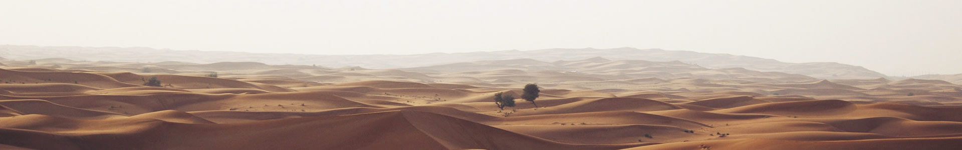 ɶչƼ޹˾